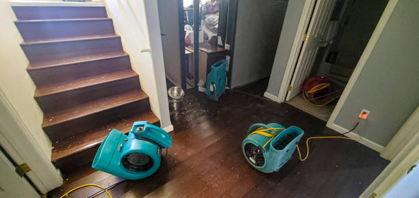 Best Residential water damage restoration  in Clendon, AR