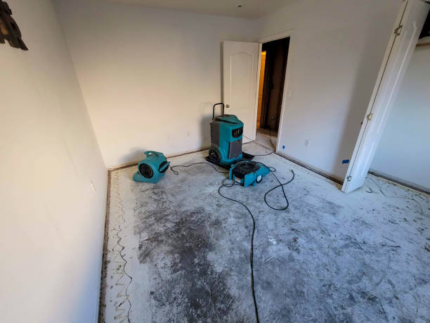 Best Water damage repair service  in Clendon, AR