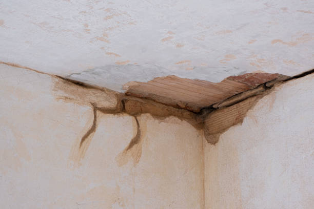 Best Commercial water damage restoration  in Clendon, AR