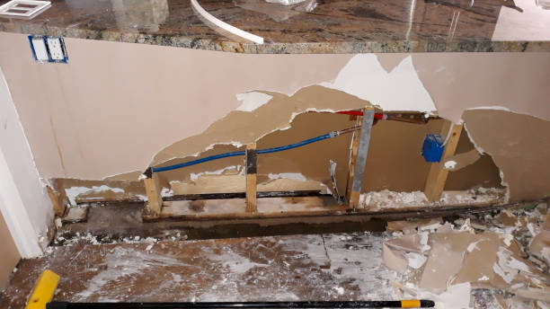 Best Water damage contractors near me  in Clendon, AR