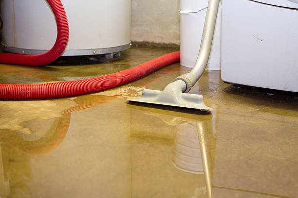 Water damage restoration insurance claims in AR