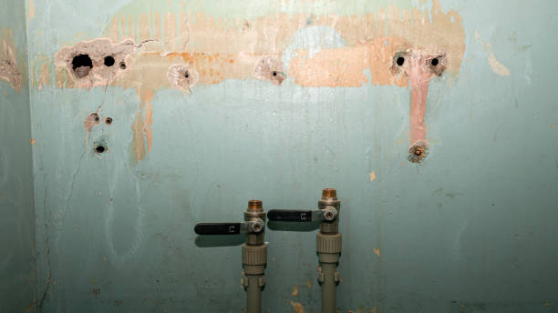 Best Water damage restoration insurance claims  in Clendon, AR