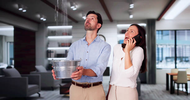 Best Mold removal after water damage  in Clendon, AR