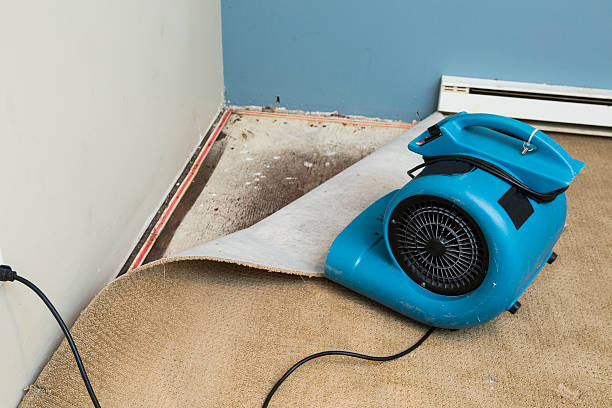Best Ceiling water damage repair  in Clendon, AR